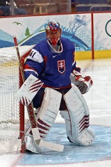 Jaroslav Halak, St. Louis Blues